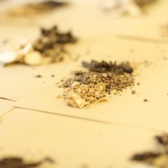 Wellbeing clinic traditional chinese medicine herbal medication