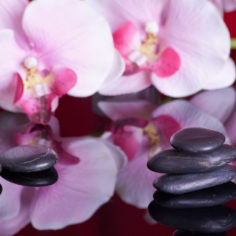 Wellbeing clinic traditional chinese medicine