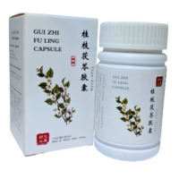 Gui Zhi Fu Ling & Da Huang Zhe Chong Wan pack for breast hyperplasia, ovarian cysts or fibroids - Image 2