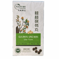 Gui Zhi Fu Ling & Da Huang Zhe Chong Wan pack for breast hyperplasia, ovarian cysts or fibroids - Image 2