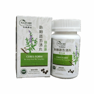 Bu Yang Huan Wu Tang Wan for stroke sequelae / post-stroke recovery