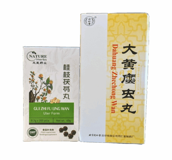 Gui Zhi Fu Ling & Da Huang Zhe Chong Wan (waxed pills) pack for breast ...